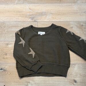Vintage Havana Olive & Beige Star Sleeve Crewneck Sweater